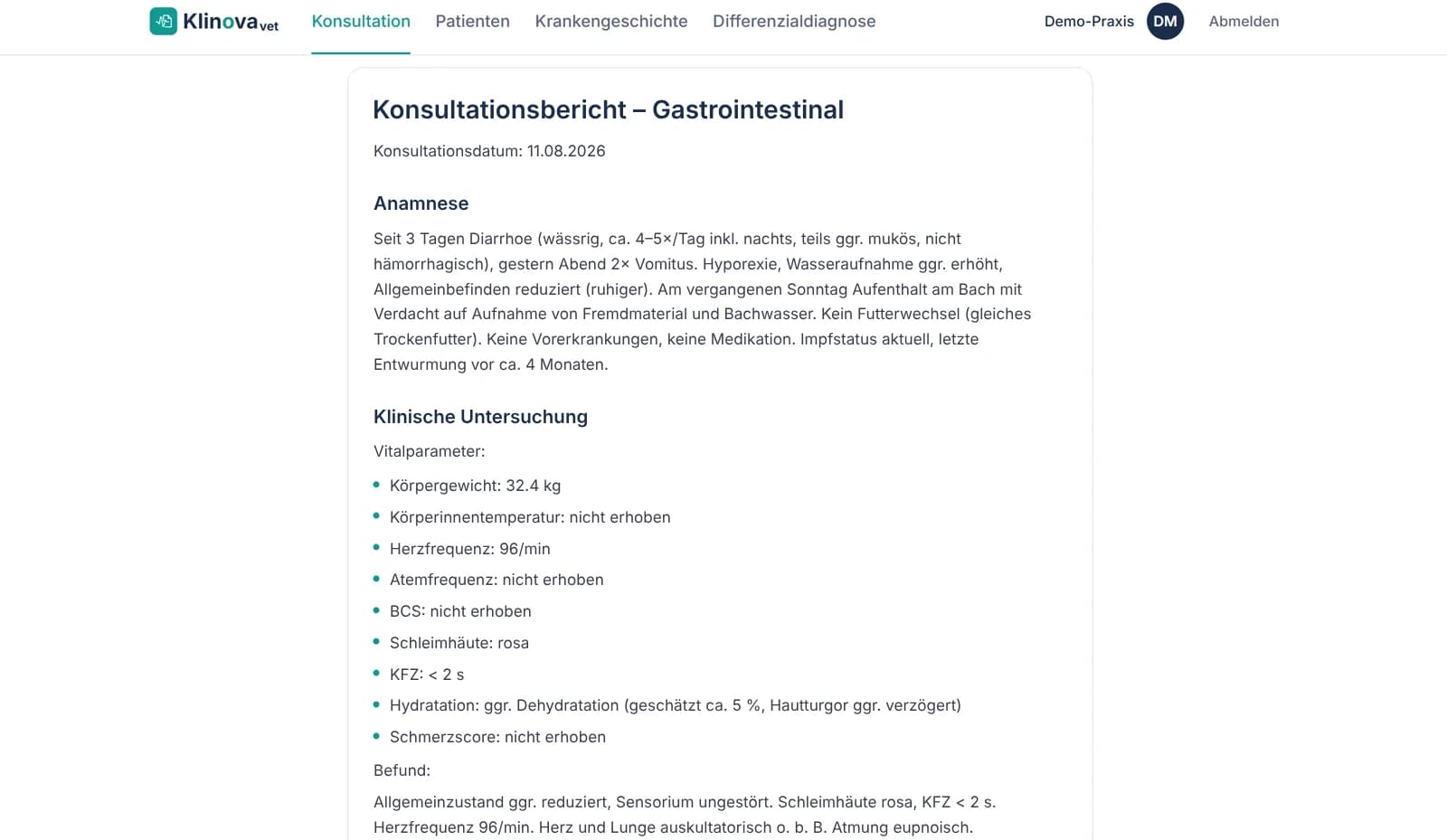 Bericht zum Magen-Darm-Fall von Hund Bruno mit Anamnese und klinischer Untersuchung